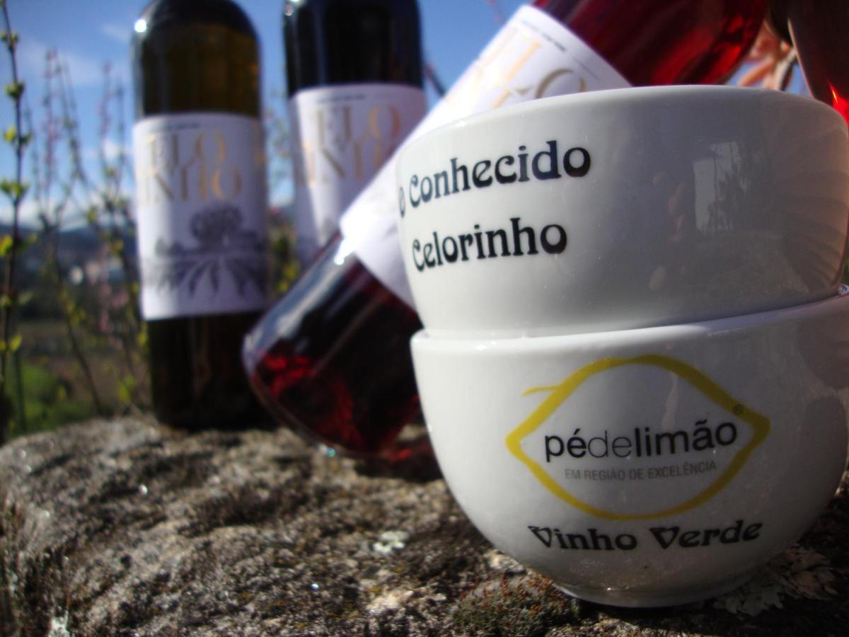 Quinta De Carcavelos Agroturismo E Enoturismo Celorico De Basto Exterior foto